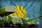 Palau heavy military armored vehicles concept on the national flag background. 3d Illustration