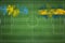 Palau vs Sweden Soccer Match, national colors, national flags, soccer field, football game, Copy space