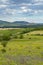 Palava landscape near Dolni Dunajovice, Southern Moravia, Czech Republic