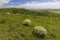 Palava landscape near Dolni Dunajovice, Southern Moravia, Czech Republic