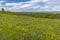 Palava landscape near Dolni Dunajovice, Southern Moravia, Czech Republic