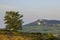 Palava landscape near Dolni Dunajovice, Southern Moravia, Czech Republic