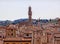 Palazzo Vecchio Arnolfo Tower Florence Rooftops