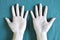 Pale or Anaemic hands of Asian, Chinese young man. Isolated on green background.