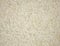 Pale beige rough plaster detail