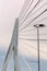 Pale blue pylon and cables of Erasmusbrug bridge