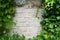 Pale brick wall with green leaves border