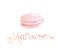 Pale color macaron sweet cake.