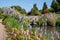 Pale pink Bistort flowers growing by the stream at the RHS Wisley garden in Surrey, UK. Bridge covered in wisterial flowers behind