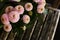 Pale pink chrysanthemum flowers above a wooden bench