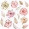 Pale pink garden flowers. Watercolor blush roses for DIY. Pink and beige roses clipart. Dried floral collection