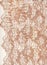 Pale pink lace border background