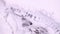 Pale pink lavender paint flow marbling background