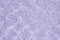 Pale purple rose plush fabric background