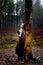 Pale woman in purple dress lying upon a tree