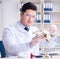 Paleontologist looking at extinct animal bone