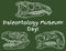 Paleontology museum day. Dinosaur day in school. Preschool paleontology day. Carnivorous and herbivorous fossils drawn on green