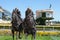 Palermo Racecourse sculptures, Buenos Aires