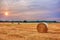 Pales of hay after harvest II