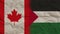 Palestine and Canada Flags Together, Crumpled Paper Effect 3D Illustration