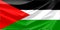 Palestine Flag