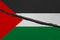 palestine flag cracked