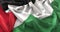 Palestine Flag Ruffled Beautifully Waving Macro Close-Up Shot