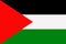 Palestine Flag Vector Flat Icon