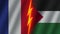 Palestine and France Flags Together, Fabric Texture, Thunder Icon, 3D Illustration