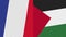 Palestine and France Two Half Flags Together