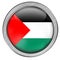 Palestine Glass Web Button