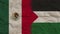 Palestine and Mexico Flags Together, Crumpled Paper Effect 3D Illustration