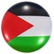 Palestine national flag button