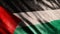 Palestine National Flag Grunge