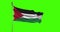 Palestine national flag waving footage. Chroma key