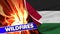 Palestine Realistic Flag with Wild Fires Title Fabric Texture Illustration