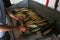 A Palestinian man prepares mackerel to be smoked in Rafah in the southern Gaza Strip