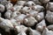 Palestinian men inspects chickens on his farm after winds and rain that lasted for several days, causing the death of a large numb