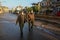 Palestinian security forces patrol an empty street during a total closure on Friday and Saturday to prevent an outbreak of the Cor