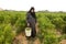 Palestinian women harvest their peppers at their farm near the border between Israel and Gaza