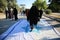 Palestinian women loyal to Hamas take part in a protest against Israel`s plan to annex parts of the Israeli-occupied West Bank