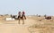 Palestinians attend a local horse racing on the land of the destroyed Gaza International Airport