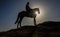 Palestinians attend a local horse racing on the land of the destroyed Gaza International Airport