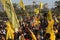 Palestinians participate in commemorating the 18th anniversary of the death of the founder of the Fatah movement and the head of t