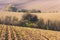 The palette of autumn agricultural field