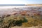 Palinuro. Pier of the French and the colorful cliff