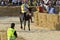 Palio of the donkeys of Alba (Cuneo-Italy) and the International White Truffle Fair