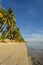 Paliton Beach, San Juan, Siquijor. Shot of golden sand beach and coconuts