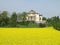 Palladio\'s Villa La Rotonda in spring with a rapeseed field