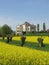Palladio\'s Villa La Rotonda with a yellow field of rapeseed in Vicenza, Italy